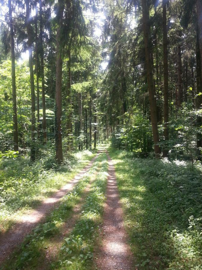 Herberge Markdorf Kültér fotó